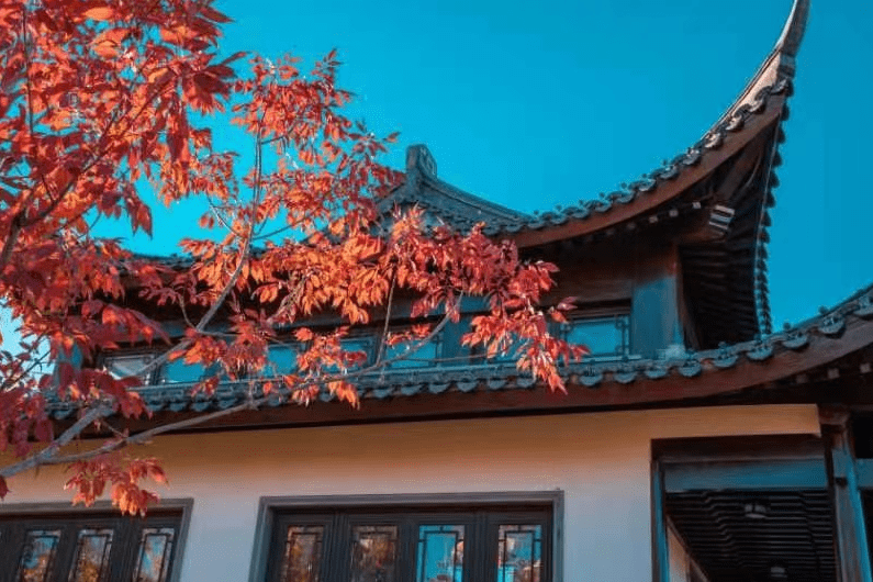 霞光映照、红叶醉染！北京世园公园赏红叶正当时 - 国内动态 - 华声新闻 - 华声在线