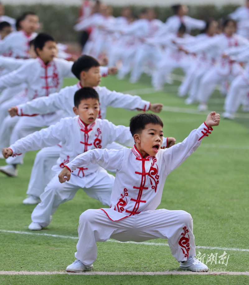 武术进校园 - 资讯 - 新湖南