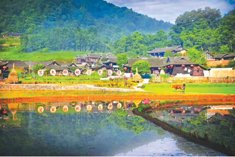 坚持生态优先 赢得发展未来——张家界市永定区“乱” 与“治” 的辩证法