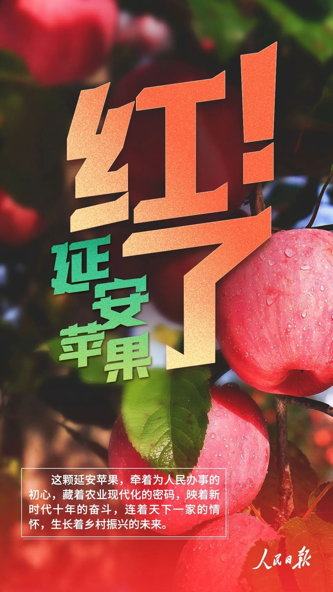 九张海报,一起品品这颗延安红苹果的味道