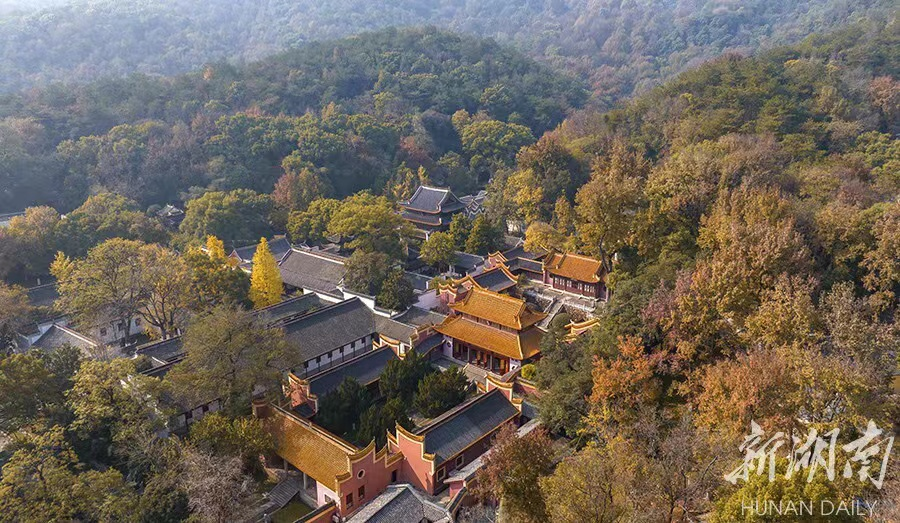 “终于可以出去玩了”!“新十条”发布后，湖南旅游复苏趋势明显