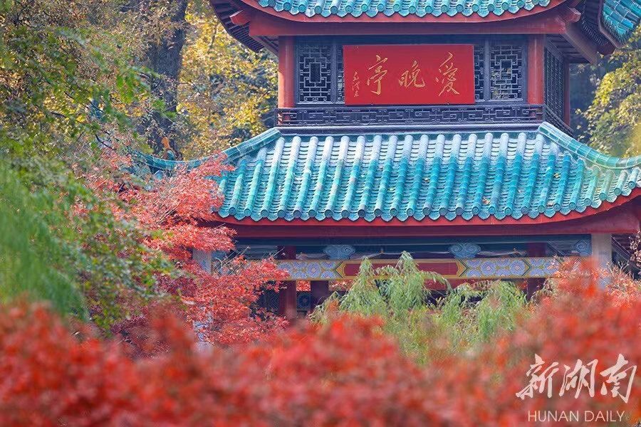 “终于可以出去玩了”!“新十条”发布后，湖南旅游复苏趋势明显