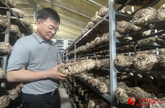 跟着总书记看中国丨浙江科技特派员：把论文写在大地上