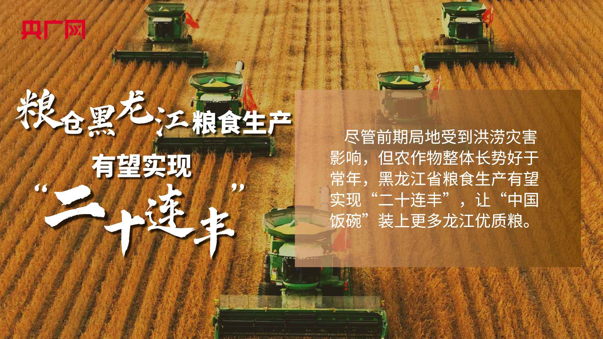 粮仓黑龙江粮食生产有望实现“二十连丰” - 华声在线