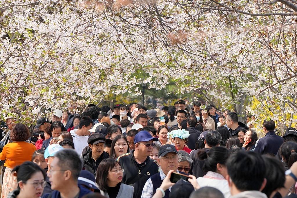 中国经济信心说丨一路“繁花”！文旅消费拉动经济“上春山”
