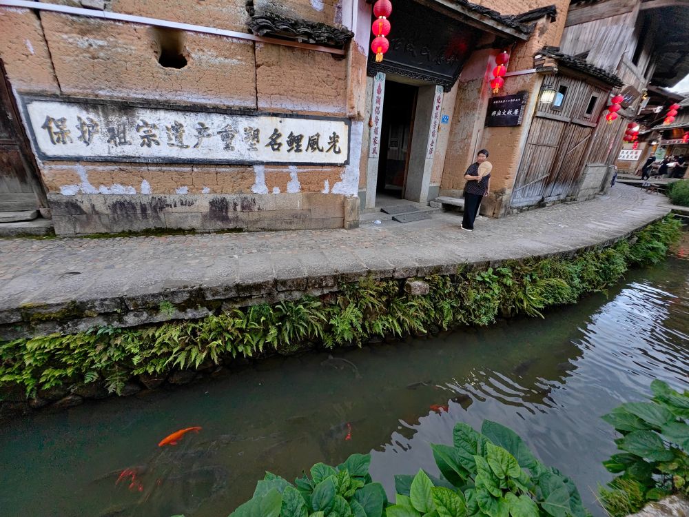 文化中国行|传统村落浦源村:庚续800年的“人鱼同乐”佳话 - 华声在线