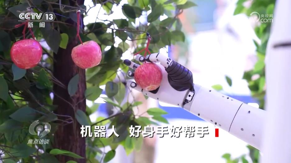 利用机器人提升内容发布效率 (利用机器人提问的问题)-初仟社区