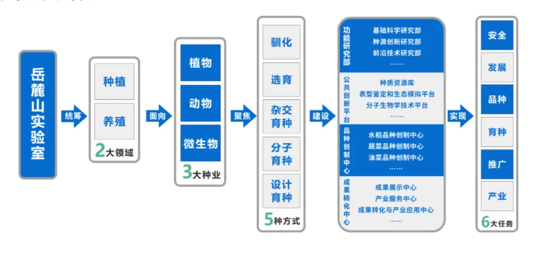 湘伴丨进度刷新！岳麓山实验室即将进入实体化运行