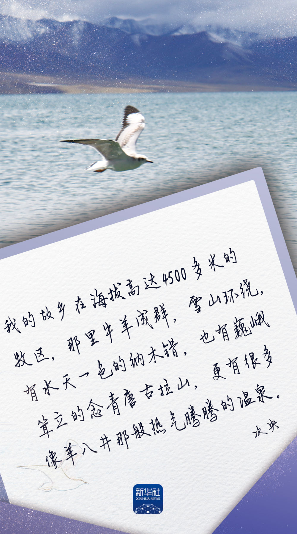 491_eae5b7adb61f7607c8201dc79121d108531f658d.jpg