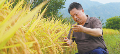 喜迎第七个中国农民丰收节：丰收来之不易 丰收成色十足