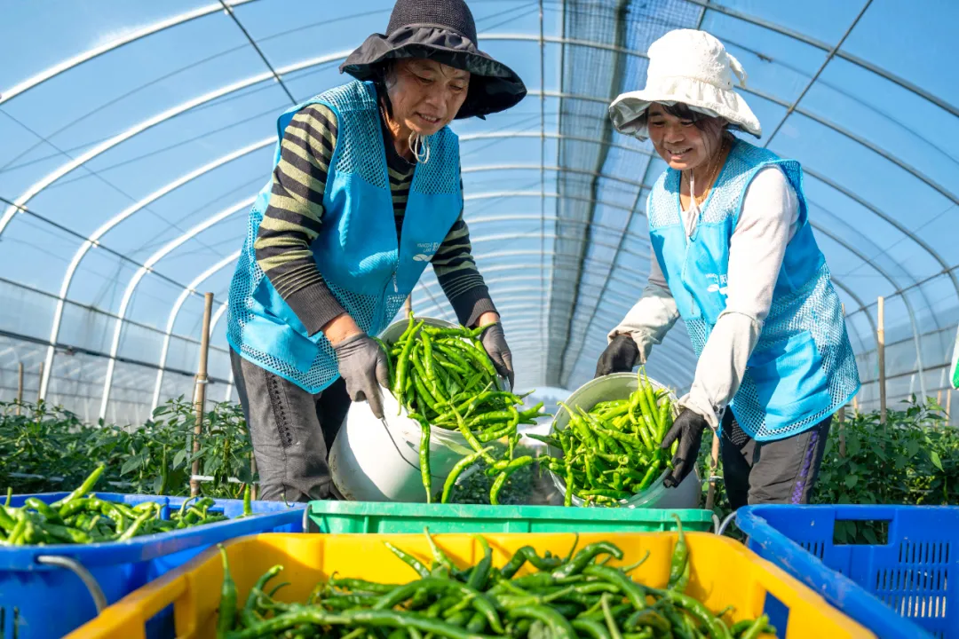 县域经济重大利好叠加，湖南省委省政府开会明确：可以冲！