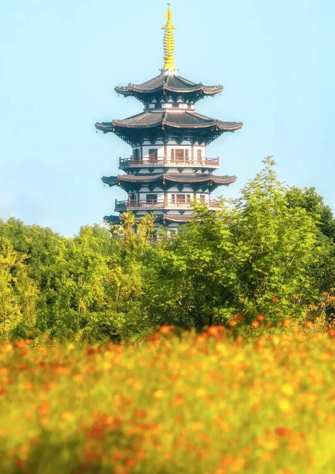 长沙“封神”机位，随手一拍都是大片