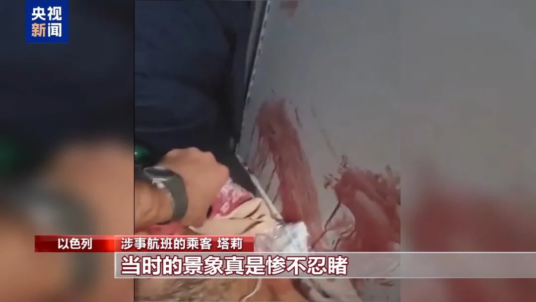 “陪女儿上洗手间时看到了机长袭击现场，我不停地尖叫呼救，景象惨不忍睹”，迪拜航空乘客回忆惊魂时刻