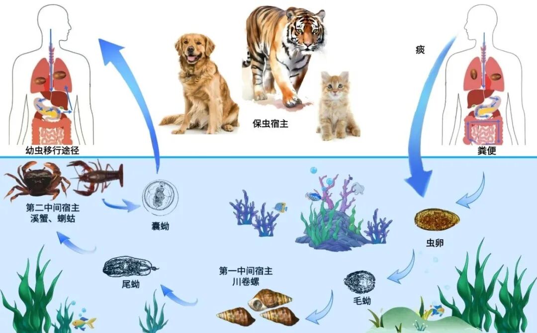 假日·提醒丨你只是尝一口鲜，它却可能在你体内住上10年！劝你一口别吃！