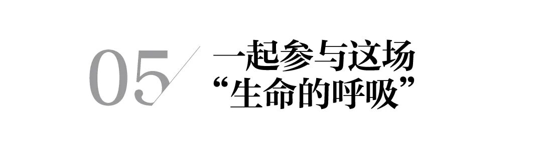 央媒连发五文热论副刊的责任使命